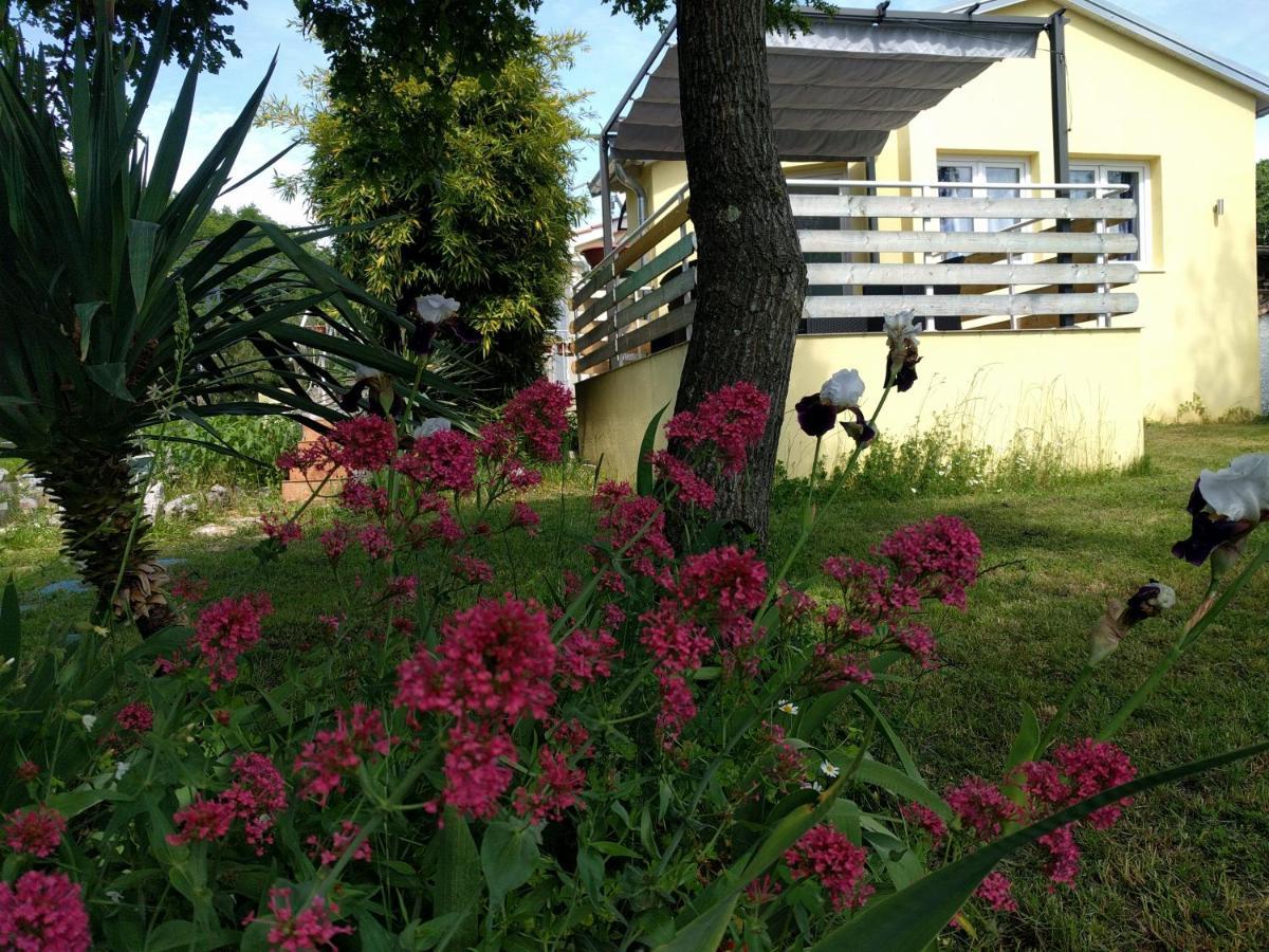 Apartment Helena Kanfanar Εξωτερικό φωτογραφία